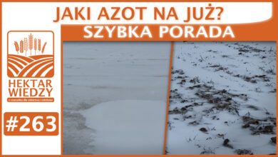 Photo of JAKI AZOT NA JUŻ? | SZYBKA PORADA #263