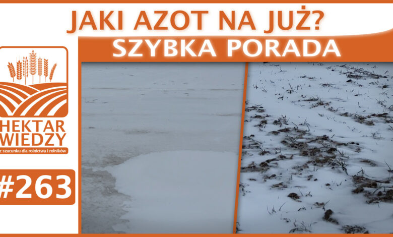 SZYBKA_PORADA_OKLADKA_263