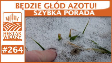 Photo of BĘDZIE GŁÓD AZOTU! | SZYBKA PORADA #264