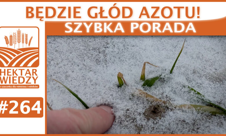 SZYBKA_PORADA_OKLADKA_264