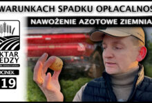 Photo of NAWOŻENIE AZOTOWE ZIEMNIAKA W WARUNKACH SPADKU OPŁACALNOŚCI. | ODCINEK 319