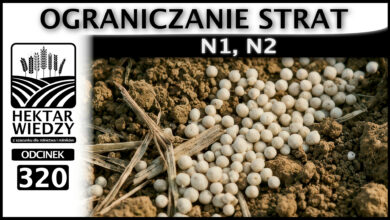 Photo of N1, N2. OGRANICZANIE STRAT. | ODCINEK 320