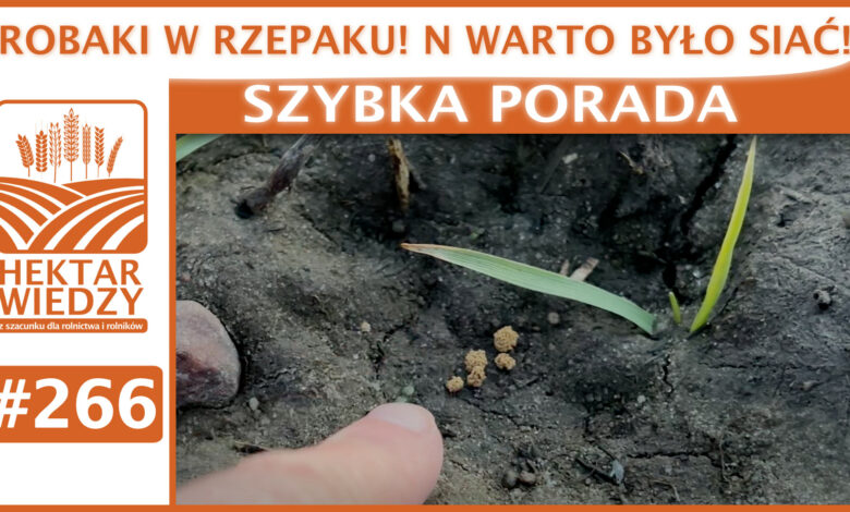 ZYBKA_PORADA_OKLADKA_266