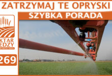 Photo of ZATRZYMAJ TE OPRYSKI. | SZYBKA PORADA #269