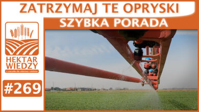 Photo of ZATRZYMAJ TE OPRYSKI. | SZYBKA PORADA #269