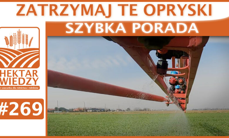SZYBKA_PORADA_OKLADKA_269