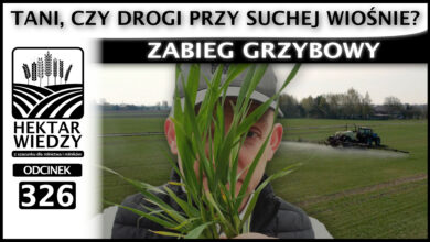 Photo of ZABIEG GRZYBOWY – TANI CZY DROGI PRZY SUCHEJ WIOŚNIE? | ODCINEK 326