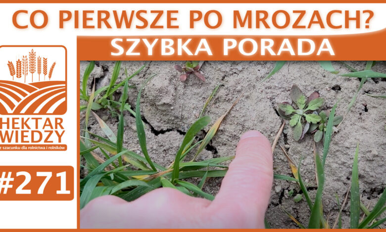 SZYBKA_PORADA_OKLADKA_271