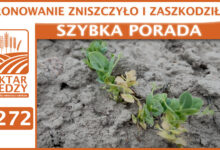 Photo of BRONOWANIE ZNISZCZYŁO I ZASZKODZIŁO. | SZYBKA PORADA #272