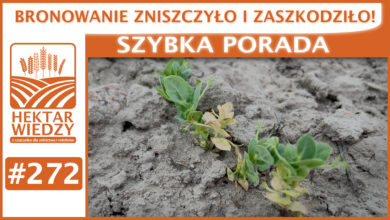 Photo of BRONOWANIE ZNISZCZYŁO I ZASZKODZIŁO. | SZYBKA PORADA #272