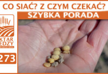 Photo of CO SIAĆ? Z CZYM CZEKAĆ? | SZYBKA PORADA #273