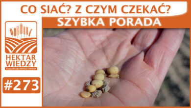 Photo of CO SIAĆ? Z CZYM CZEKAĆ? | SZYBKA PORADA #273