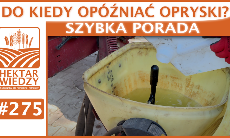 SZYBKA_PORADA_OKLADKA_275