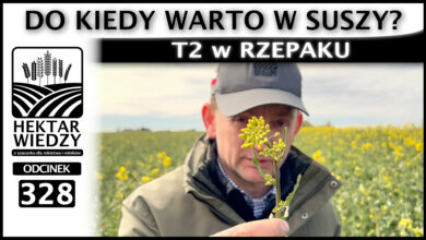 Photo of DO KIEDY WARTO W SUSZY? T2 w RZEPAKU. | ODCINEK 328