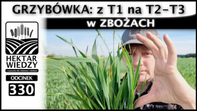 Photo of GRZYBÓWKA Z T1 na T2-T3 w ZBOŻACH | ODCINEK 330