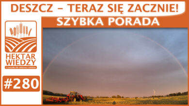Photo of DESZCZ – TERAZ SIĘ ZACZNIE! | SZYBKA PORADA #280