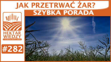 Photo of JAK PRZETRWAĆ ŻAR? | SZYBKA PORADA #282