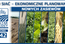Photo of CO SIAĆ – EKONOMICZNE PLANOWANIE NOWYCH ZASIEWÓW | ODCINEK 342