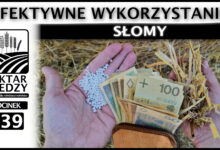 Photo of EFEKTYWNE WYKORZYSTANIE SŁOMY! (ILE TO JEST WARTE?) | ODCINEK 339