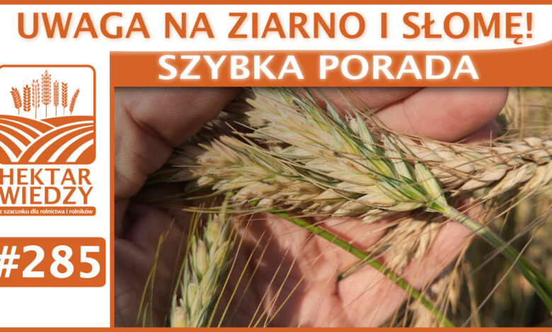 Okładka_SP_285