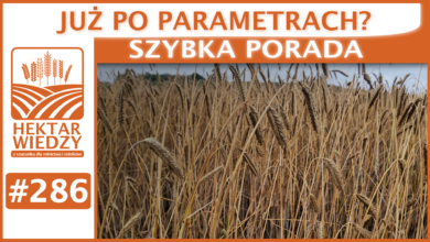 Photo of JUŻ PO PARAMETRACH? | SZYBKA PORADA #286