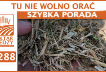 Photo of TU NIE WOLNO ORAĆ | SZYBKA PORADA #288