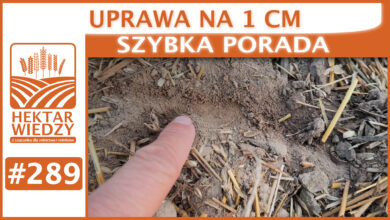 Photo of UPRAWA NA 1 CM | SZYBKA PORADA #289