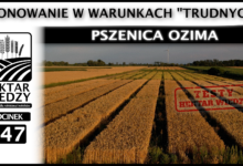Photo of PLONOWANIE W WARUNKACH „TRUDNYCH” – PSZENICA OZIMA | ODCINEK 347