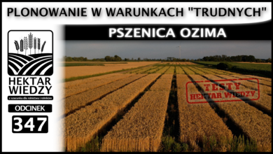 Photo of PLONOWANIE W WARUNKACH „TRUDNYCH” – PSZENICA OZIMA | ODCINEK 347