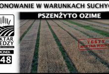 Photo of PLONOWANIE W WARUNKACH SUCHYCH – PSZENŻYTO OZIME | ODCINEK 348