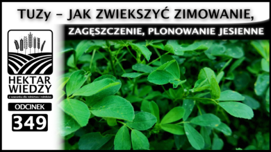 Photo of TUZy – JAK ZWIEKSZYĆ ZIMOWANIE, ZAGĘSZCZENIE, PLONOWANIE JESIENIĄ | ODCINEK 349