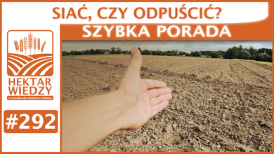 Photo of SIAĆ, CZY ODPUŚCIĆ? | SZYBKA PORADA #292