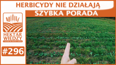 Photo of HERBICYDY NIE DZIAŁAJĄ | SZYBKA PORADA #296