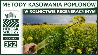 Photo of METODY KASOWANIA POPLONÓW W ROLNICTWIE REGENERACYJNYM | ODCINEK 352