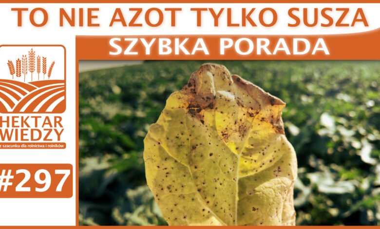 Okładka_SP_297