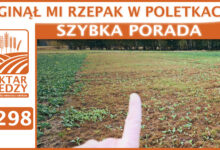 Photo of ZGINĄŁ MI RZEPAK W POLETKACH | SZYBKA PORADA #298